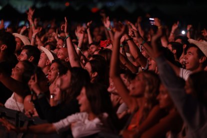 Festival Músicos en la Naturaleza con las actuaciones de C. Tangana, Leiva e Iván Ferreiro en Hoyos del Espino.- ICAL