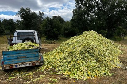 Vecinos de la zona se agrupan en una plataforma que consiga comida rápida para los animales, también los salvajes, de la zona que ahora está calcinada.- E. M.