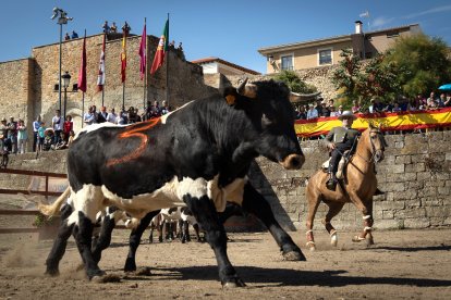 XIX Feria del Caballo de Ciudad Rodrigo