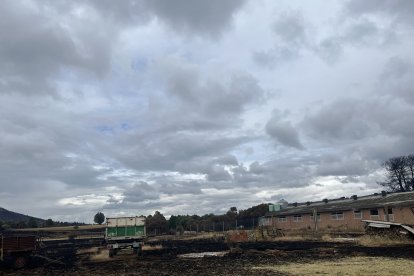 Parte de la nave de Nelly donde ya no pueden pastorear los animales.-A. Calvo