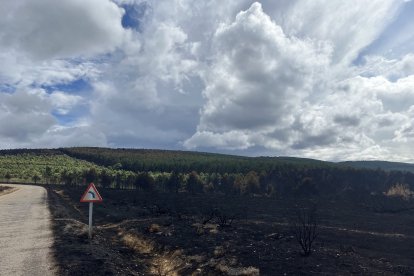 Pocas zonas verdes quedan en el entorno de Ferreras de Abajo, Ferreras de Arriba, Villardeciervos u Otero de Bodas.- A. Calvo