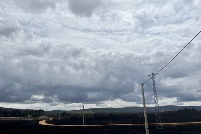 La nave de Nelly, al fondo, en Otero de Bodas, estuvo rodeada por las llamas aunque las cabras se salvaron.- A. Calvo