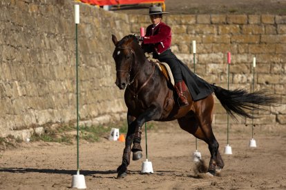 XIX Feria del Caballo de Ciudad Rodrigo (Salamanca). Ical