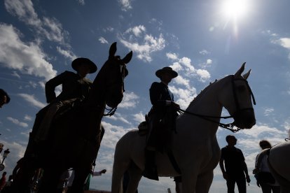 XIX Feria del Caballo de Ciudad Rodrigo (Salamanca) Ical