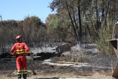 Incendio en Losacio de Alba (Zamora).- ICAL