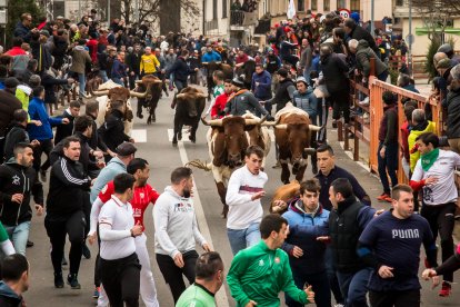 Carnaval del Toro de Ciudad Rodrigo.- ICAL