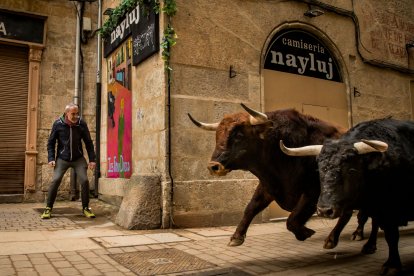 Carnaval del Toro de Ciudad Rodrigo.- ICAL
