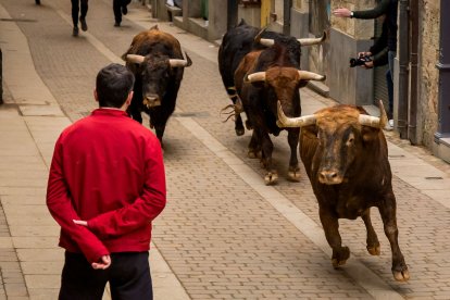 Carnaval del Toro de Ciudad Rodrigo.- ICAL