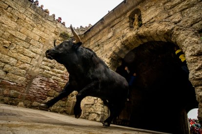 Carnaval del Toro de Ciudad Rodrigo.- ICAL