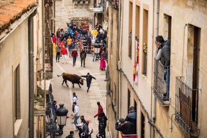 Carnaval del Toro de Ciudad Rodrigo.- ICAL