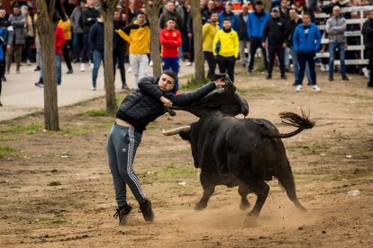Carnaval del Toro de Ciudad Rodrigo.- ICAL