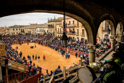 Carnaval del Toro de Ciudad Rodrigo.- ICAL