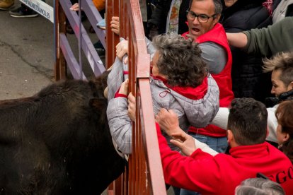 Carnaval del Toro de Ciudad Rodrigo.- ICAL
