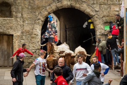 Carnaval del Toro de Ciudad Rodrigo.- ICAL