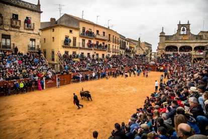 Carnaval del Toro de Ciudad Rodrigo.- ICAL