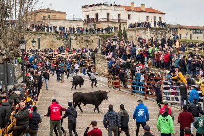 Carnaval del Toro de Ciudad Rodrigo.- ICAL