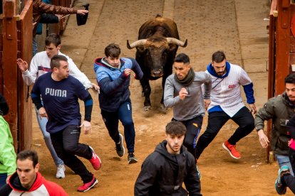 Carnaval del Toro de Ciudad Rodrigo.- ICAL