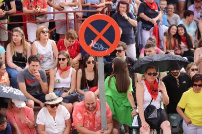 Toro enmaromado de Benavente. ICAL