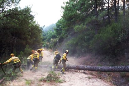 Incendio en Santa Cruz del Valle en Ávila. -ICAL