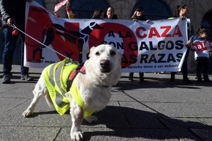 Manifestación de la Plataforma NAC.- ICAL