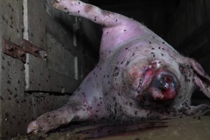 image00017