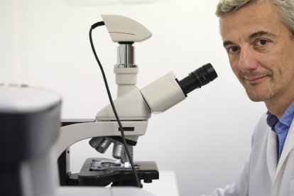Javier Herrero, director del Banco de Tejidos Neurológicos ubicado en Salamanca. - ENRIQUE CARRASCAL