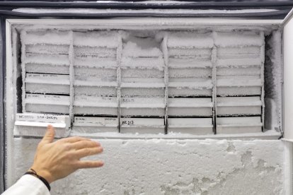 Tejidos neurológicos en recipientes congelados. -FOTO CEDIDA POR EL INCYL
