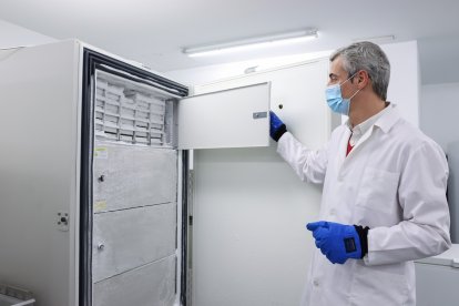 Javier Herrero, director del Banco de Tejidos Neurológicos ubicado en Salamanca. -FOTO CEDIDA POR EL INCYL
