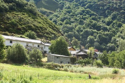 El consejero de Medio Ambiente, Vivienda y Ordenación del Territorio, Juan Carlos Suárez-Quiñones, durante su visita a uno de los sistemas de captura de osos para radiomarcaje en Tejedo del Sil (León).- ICAL