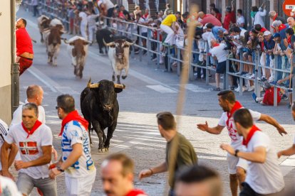 Baja por la calle de la resina de las reses de la ganadería Sánchez Herrero.- Ical