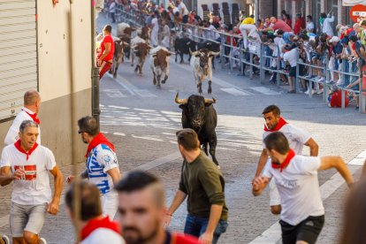 Baja por la calle de la resina de las reses de la ganadería Sánchez Herrero.- Ical