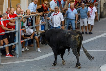 Baja por la calle de la resina de las reses de la ganadería Sánchez Herrero.- Ical