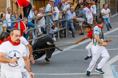 Baja por la calle de la resina de las reses de la ganadería Sánchez Herrero.- Ical