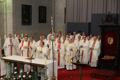 El nuncio apostólico del Papa en España, Monseñor Bernardito Cleopas Auza, presidirá la ordenación del sacerdote navarro Mikel Garciandia como obispo de Palencia. A la ceremonia acudirán otros 26 prelados, arzobispos y administradores diocesanos- Brágimo/Ical