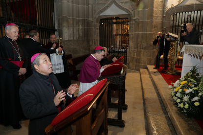El nuncio apostólico del Papa en España, Monseñor Bernardito Cleopas Auza, presidirá la ordenación del sacerdote navarro Mikel Garciandia como obispo de Palencia. A la ceremonia acudirán otros 26 prelados, arzobispos y administradores diocesanos- Brágimo/Ical