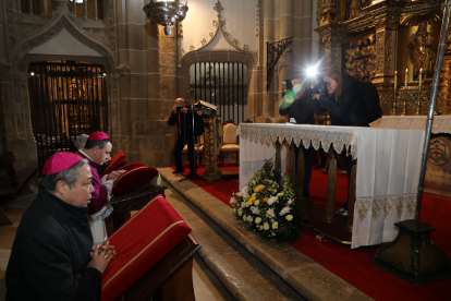 El nuncio apostólico del Papa en España, Monseñor Bernardito Cleopas Auza, presidirá la ordenación del sacerdote navarro Mikel Garciandia como obispo de Palencia. A la ceremonia acudirán otros 26 prelados, arzobispos y administradores diocesanos- Brágimo/Ical