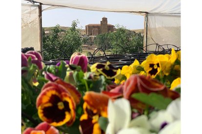 Pensamientos en Borobia. /hds