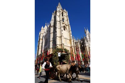 León celebra las fiestas de San Froilán. -ICAL