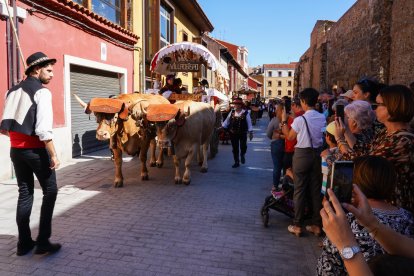 León celebra las fiestas de San Froilán. -ICAL