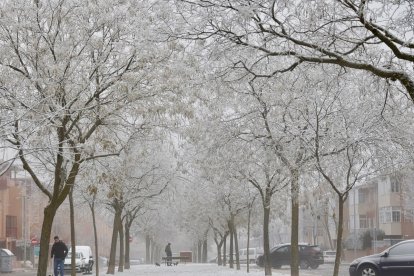 Niebla y hielo en Salamanca. -ICAL.