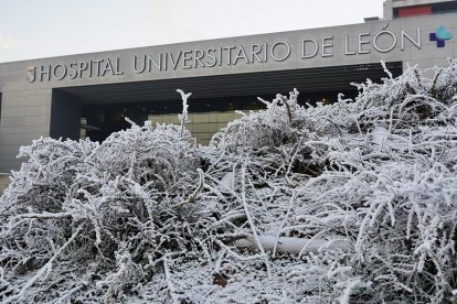 Fuerte helada en las inmediaciones del Hospital de Le?n
