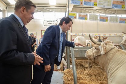 Inauguración de Salamaq 2023.- ICAL