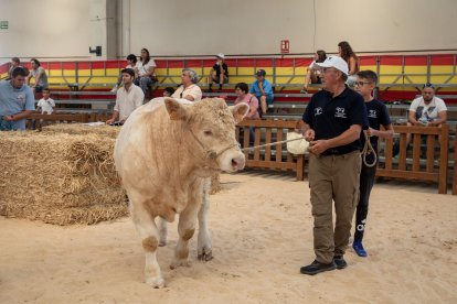 Inauguración de Salamaq 2023.- ICAL