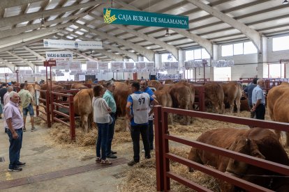 Inauguración de Salamaq 2023.- ICAL