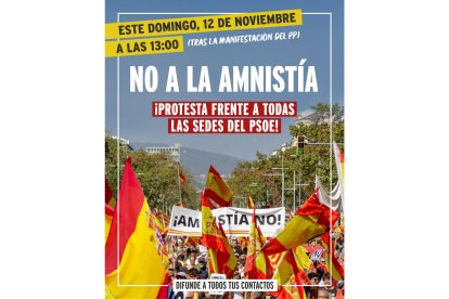 Cartel de convocatoria para las manifestaciones del domingo difundido por VOX.- E. M.