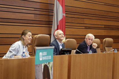 Pleno infantil de Aldeas Infantiles SOS en las Cortes de Castilla y León. / ICAL