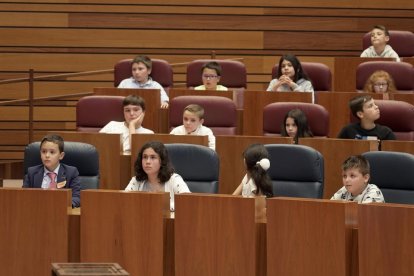 Pleno infantil de Aldeas Infantiles SOS en las Cortes de Castilla y León. / ICAL