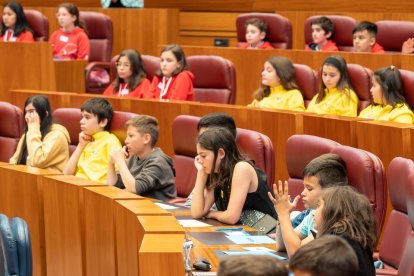 Pleno infantil de Aldeas Infantiles SOS en las Cortes de Castilla y León. / ICAL