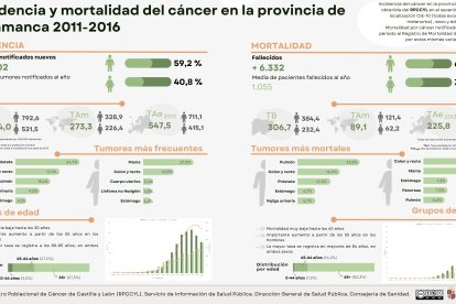 Salamanca consolida su Registro Poblacional del Cáncer.- ICAL