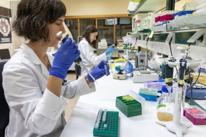 Salamanca consolida su Registro Poblacional del Cáncer.- ICAL